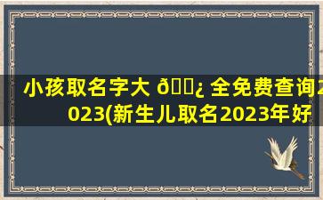 小孩取名字大 🌿 全免费查询2023(新生儿取名2023年好名字大全)